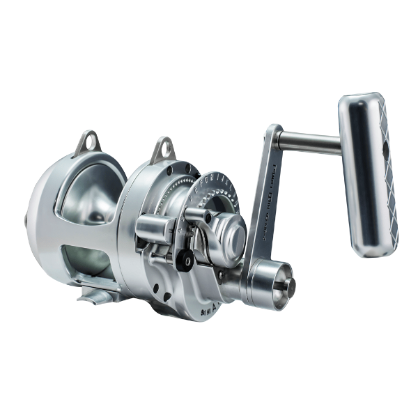 Accurate ATD-6T Platinum Twin Drag Reel - Bulluna.com