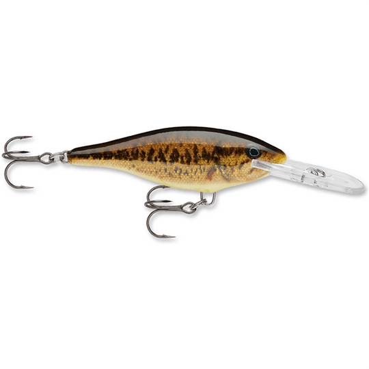 Rapala Shad Rap 05 Crankbait Lure - 2 Inches - Bulluna.com